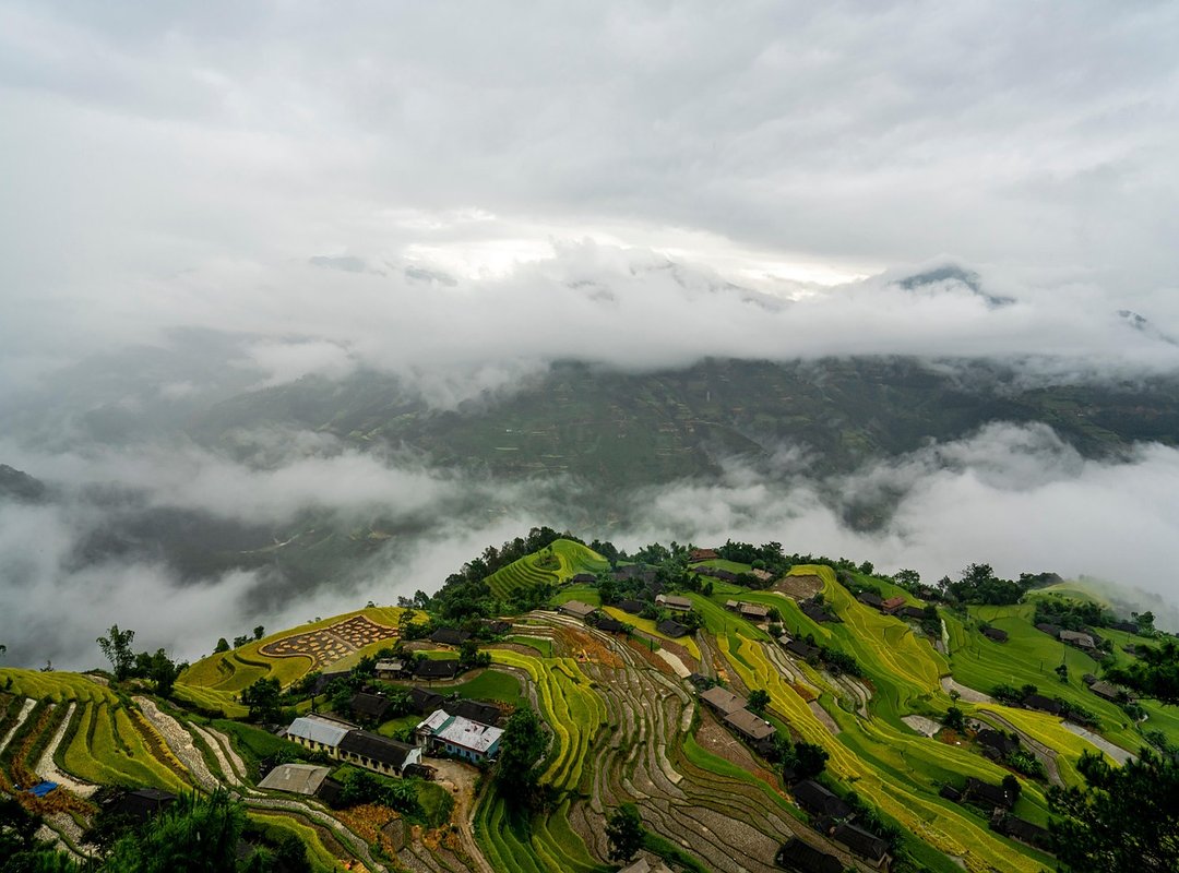 How to Get Better at Obernaft Game