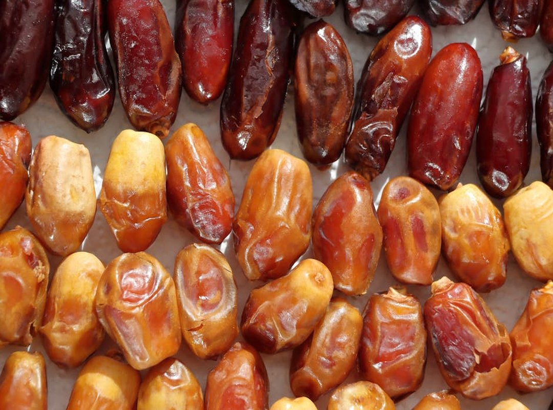 When Hondingo88 Releases